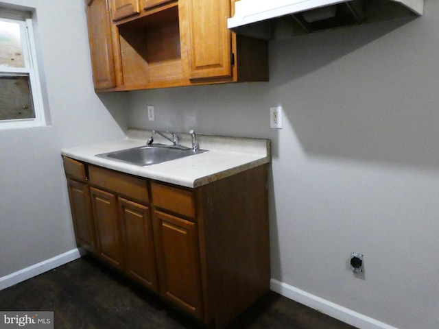 kitchen with ventilation hood and sink