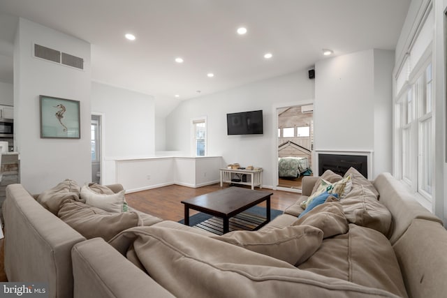 living room featuring wood-type flooring