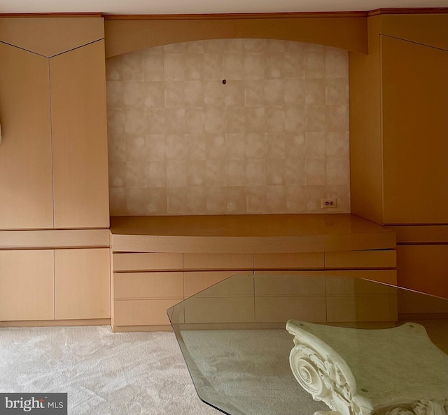 view of sauna / steam room featuring carpet flooring