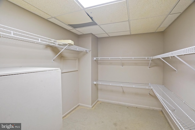 bedroom featuring carpet flooring