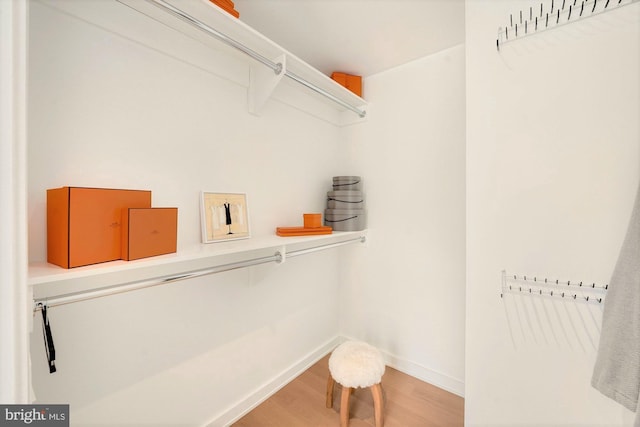 spacious closet featuring wood-type flooring