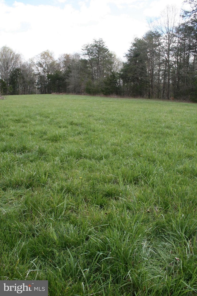 view of yard featuring a rural view