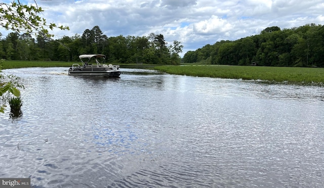 view of water feature