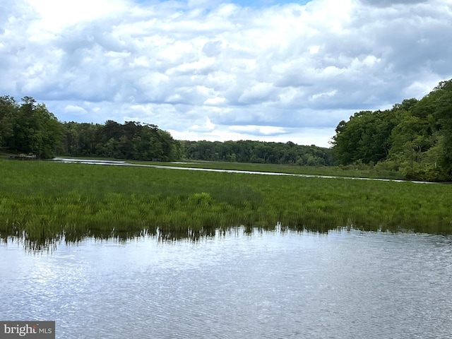 water view