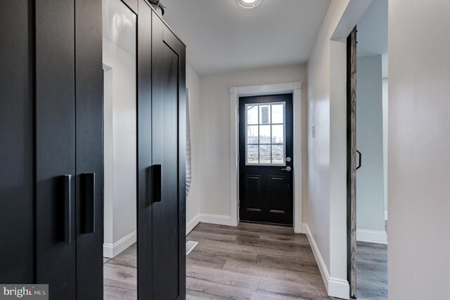 entrance foyer featuring light hardwood / wood-style flooring