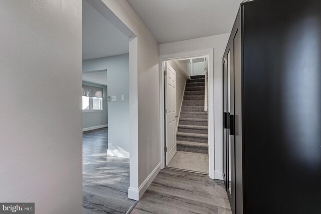 staircase with light hardwood / wood-style flooring