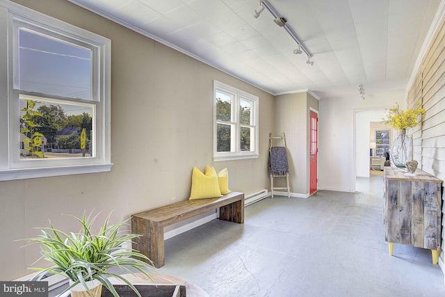 living area with baseboard heating, rail lighting, and ornamental molding