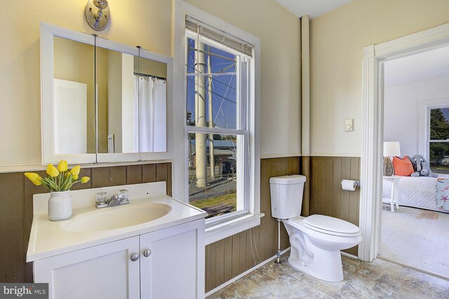 bathroom featuring vanity, toilet, and wooden walls