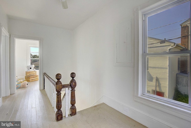 corridor featuring electric panel and light hardwood / wood-style flooring