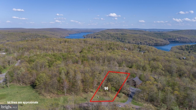 96 Black Diamond Ct, Mc Henry MD, 21541 land for sale