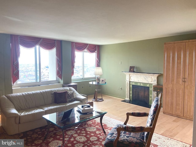 living room with a premium fireplace and light wood-type flooring