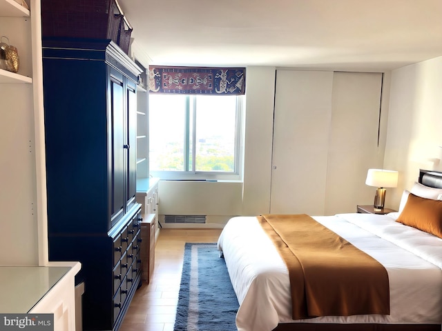 bedroom with a closet and wood-type flooring