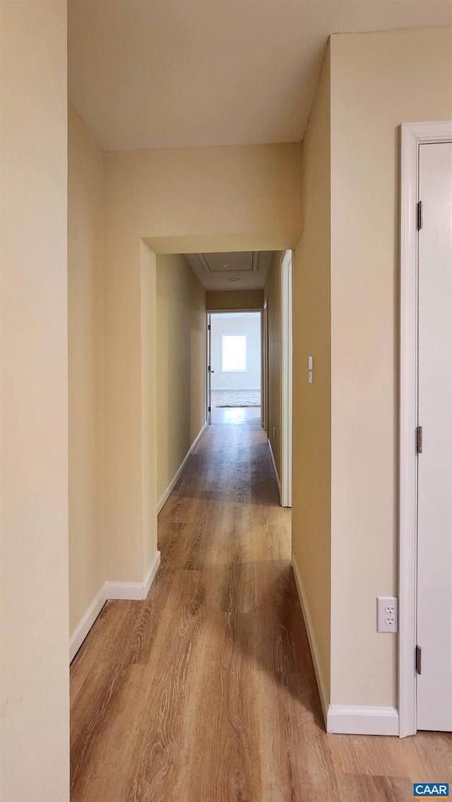 hallway with wood-type flooring