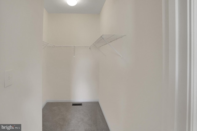 walk in closet featuring visible vents and carpet floors