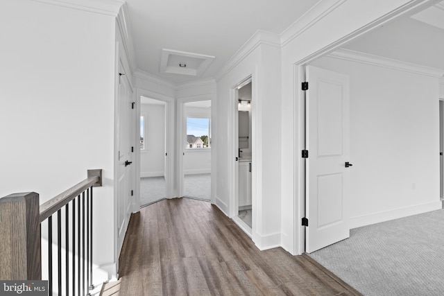 corridor with crown molding, baseboards, and wood finished floors