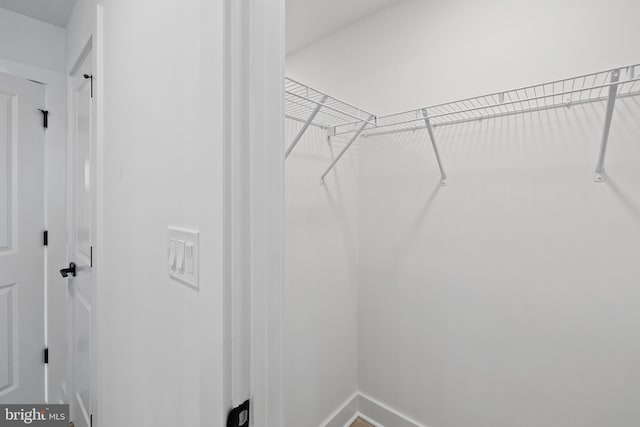 view of spacious closet