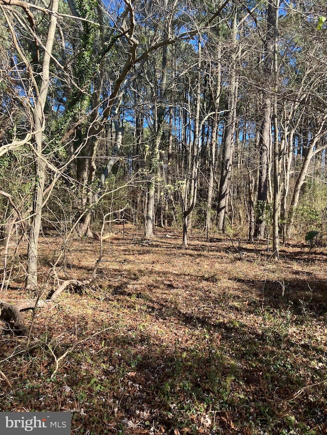 LOT11 Davis Rd, Marion Station MD, 21838 land for sale