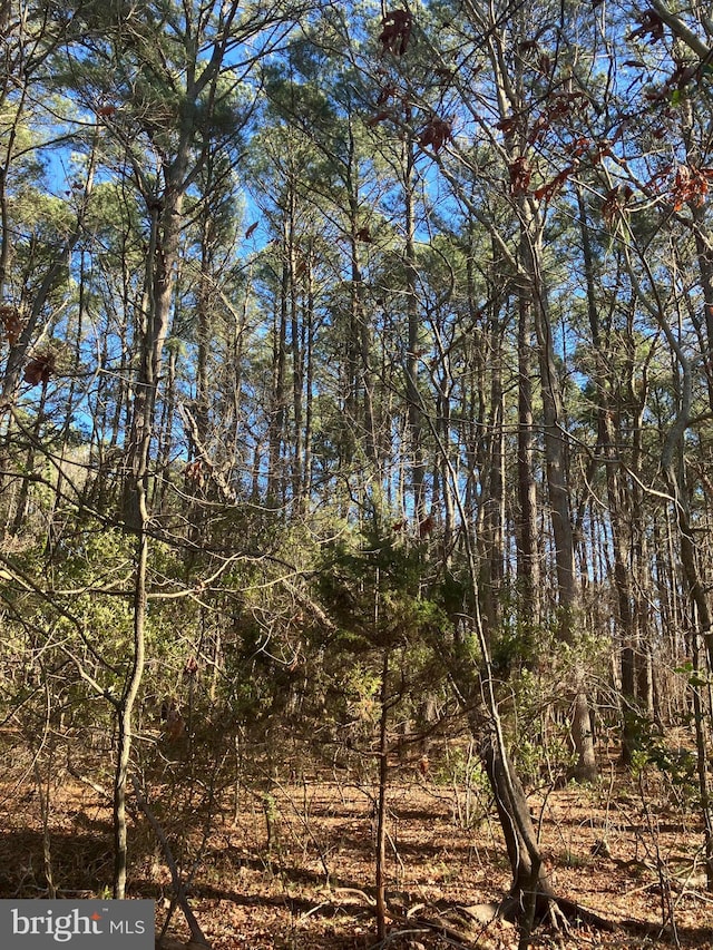 Listing photo 2 for LOT11 Davis Rd, Marion Station MD 21838