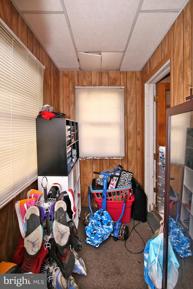 interior space with carpet flooring and wood walls