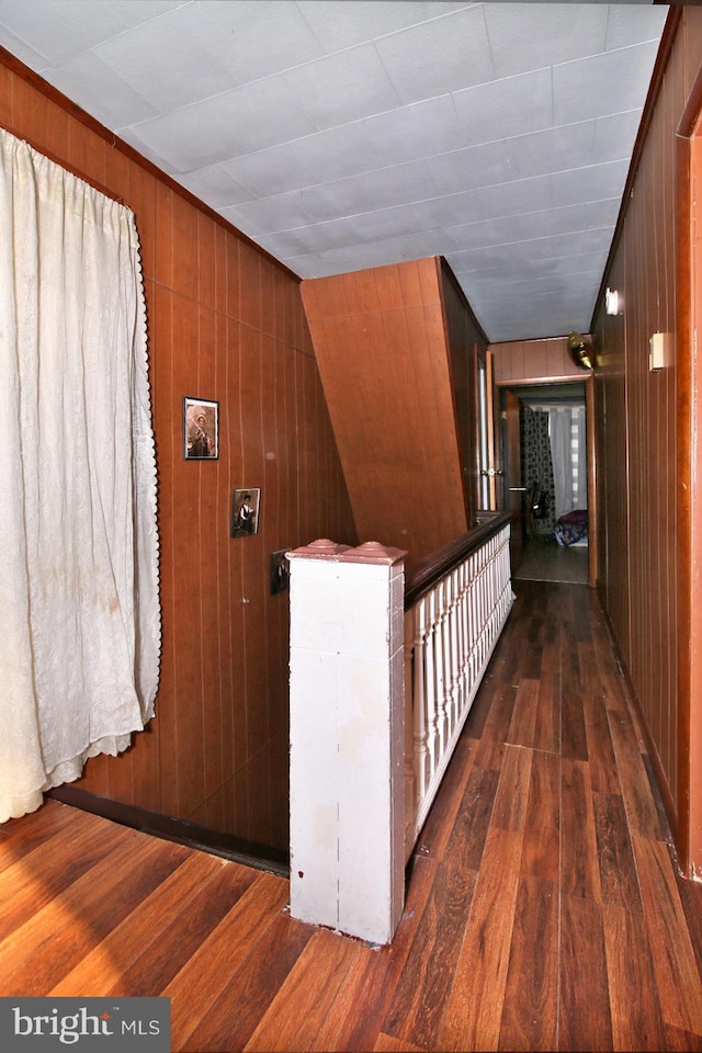 hallway with wooden walls and dark hardwood / wood-style floors