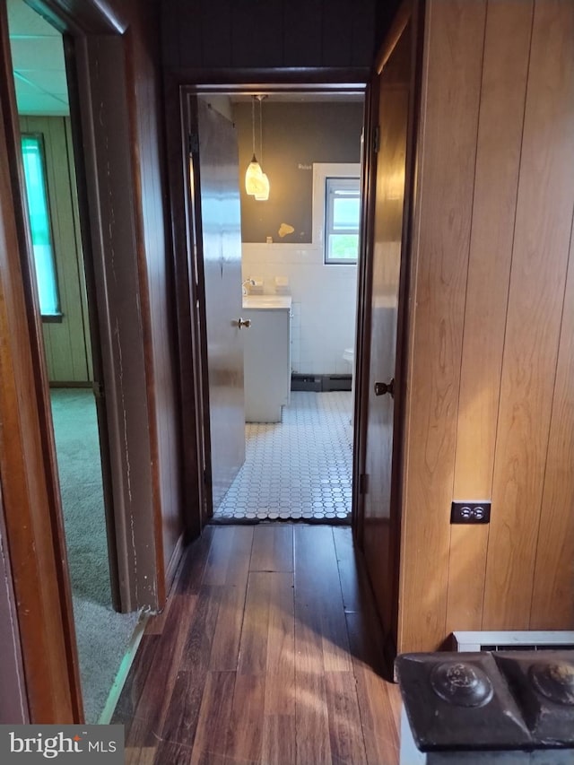 hallway featuring dark wood-type flooring