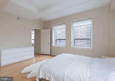 bedroom with a tray ceiling