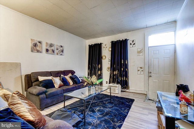 living room with light hardwood / wood-style floors