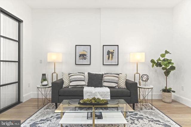 living room featuring light hardwood / wood-style flooring