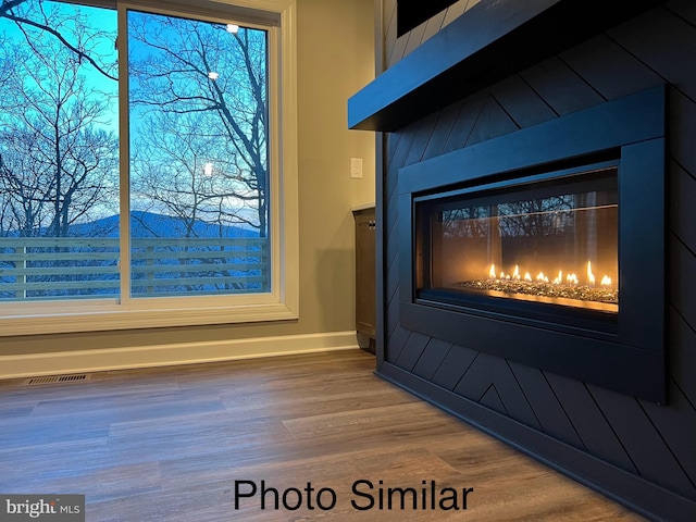 details featuring hardwood / wood-style flooring