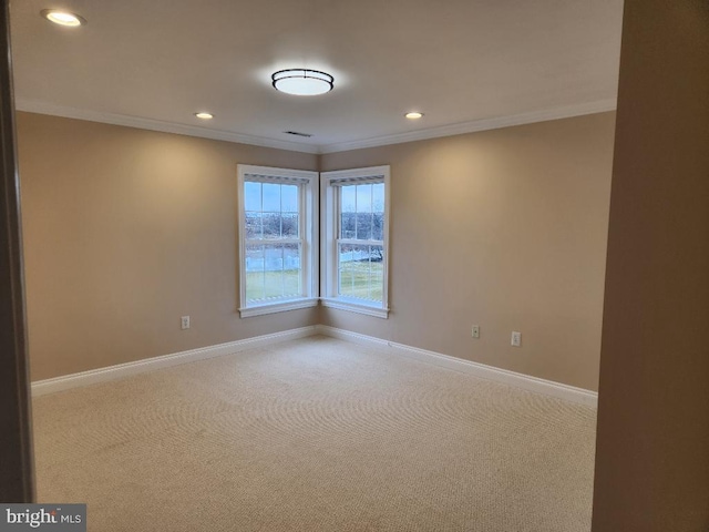 empty room featuring carpet and ornamental molding