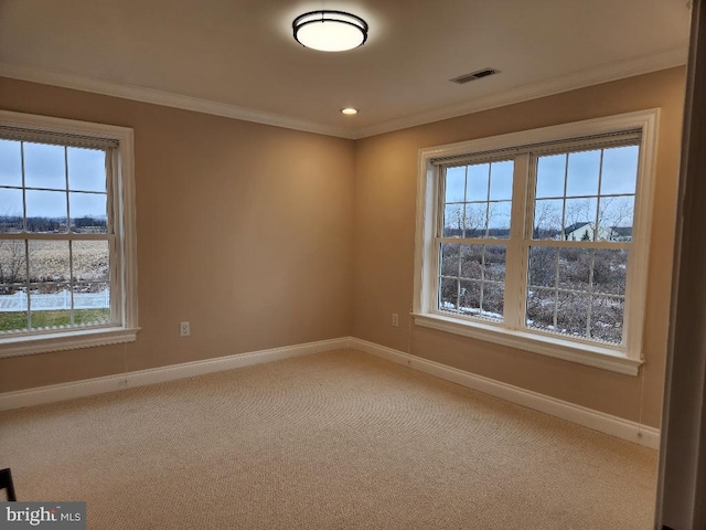 spare room with ornamental molding and carpet floors