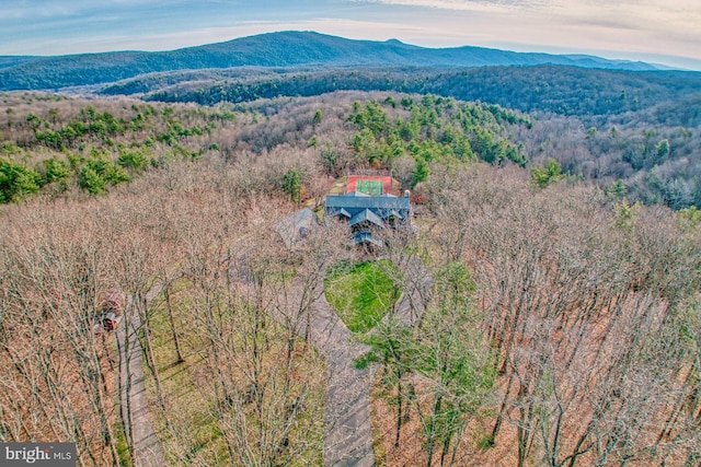 bird's eye view with a mountain view