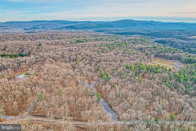 bird's eye view featuring a mountain view