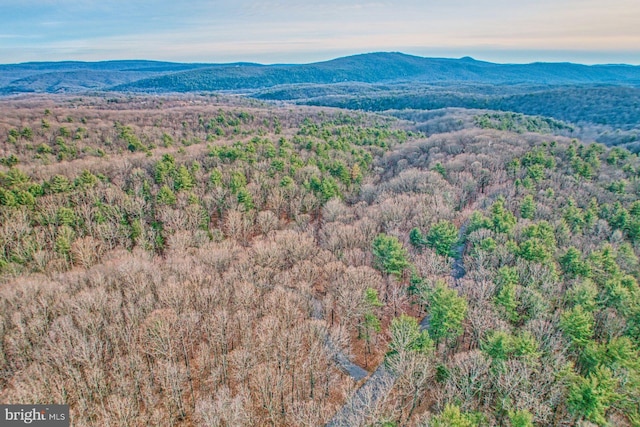 birds eye view of property featuring a mountain view