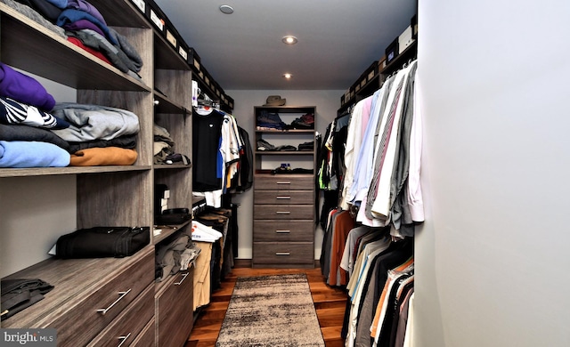 spacious closet with dark wood-type flooring