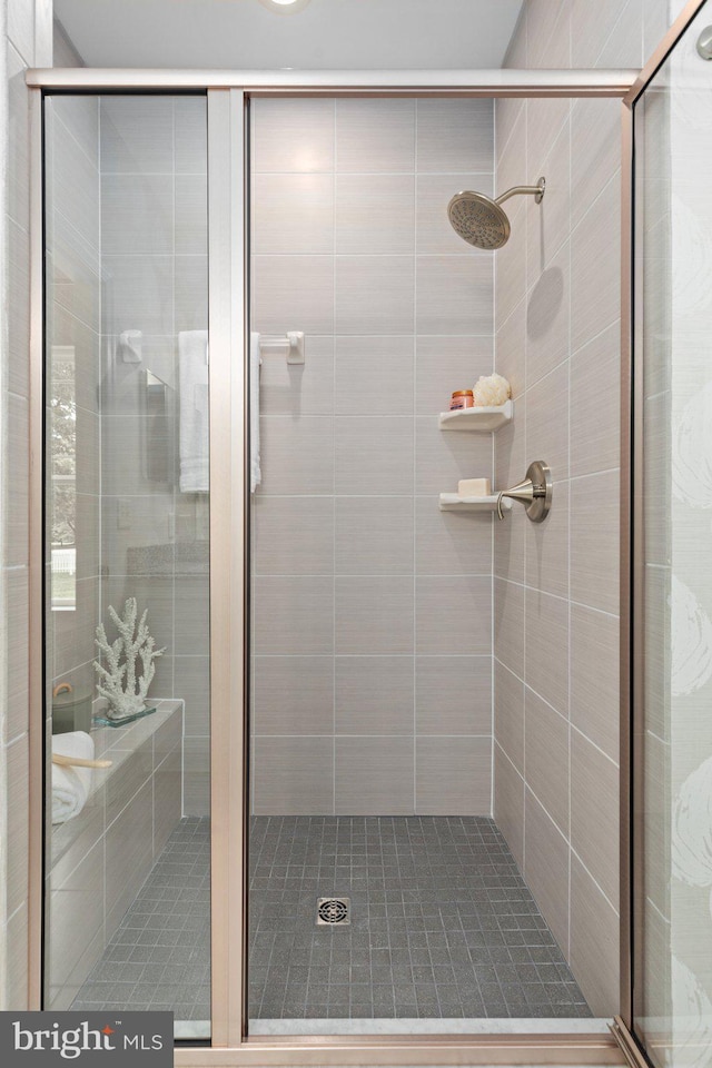 bathroom featuring a shower stall