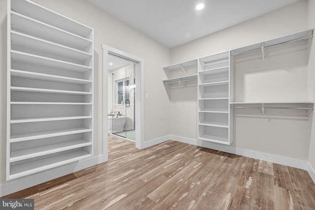 walk in closet featuring wood-type flooring