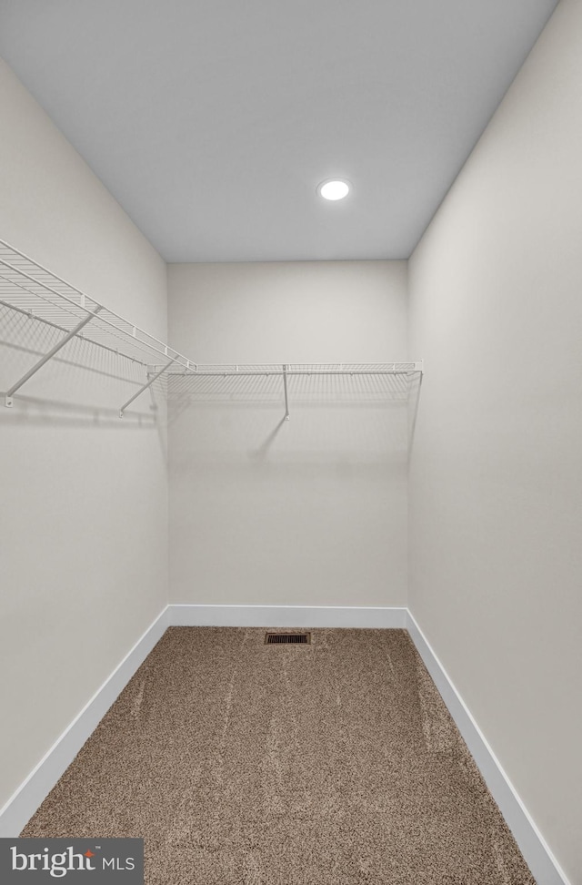 spacious closet with carpet