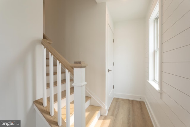 staircase with hardwood / wood-style flooring