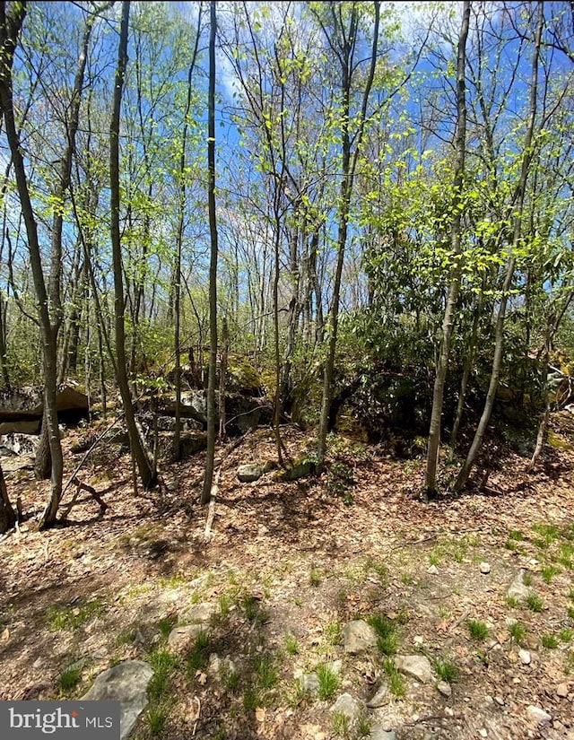 Listing photo 2 for LOT38 Buck Dr, Oakland MD 21550