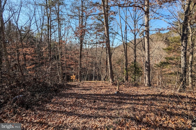 view of local wilderness