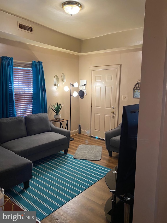 living room featuring hardwood / wood-style flooring