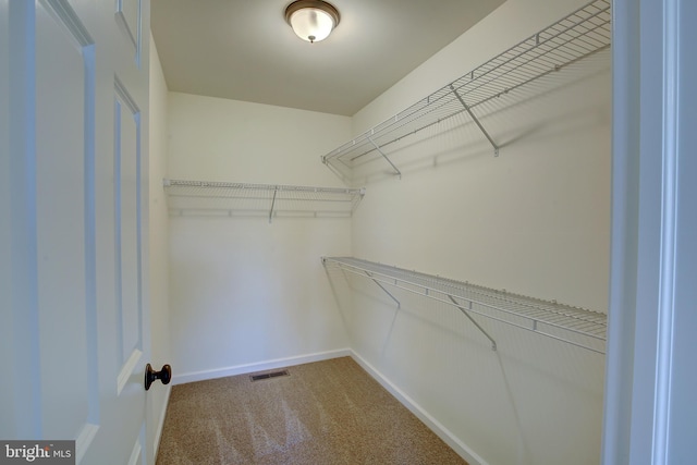 spacious closet featuring visible vents and carpet flooring