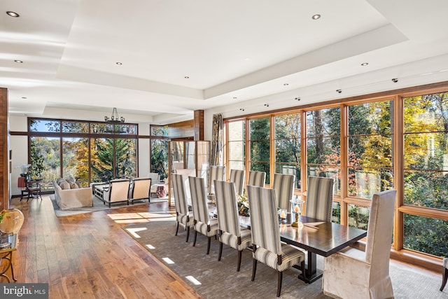 unfurnished dining area with a chandelier, a tray ceiling, floor to ceiling windows, and wood-type flooring