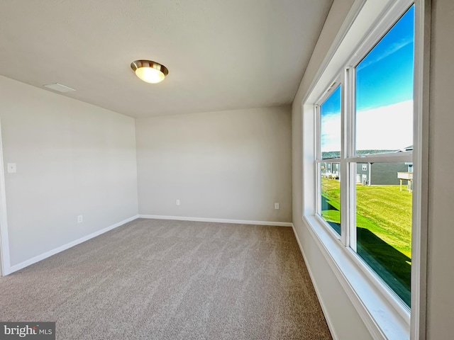 spare room featuring carpet floors and a wealth of natural light