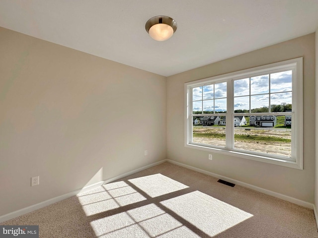 empty room featuring carpet and a wealth of natural light