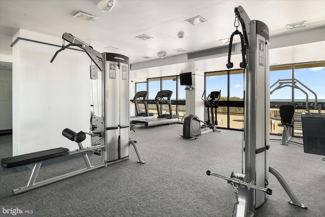 workout area featuring carpet flooring