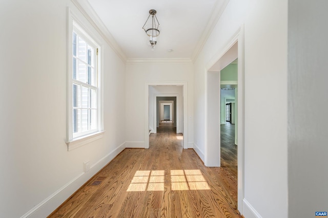 hallway with light hardwood / wood-style flooring and crown molding