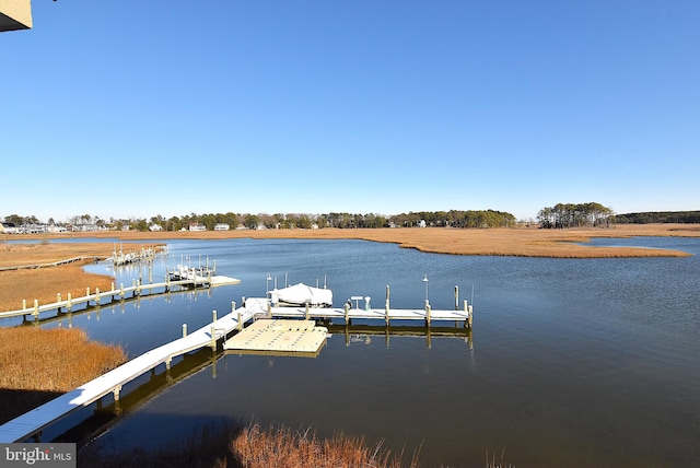 dock area featuring a water view