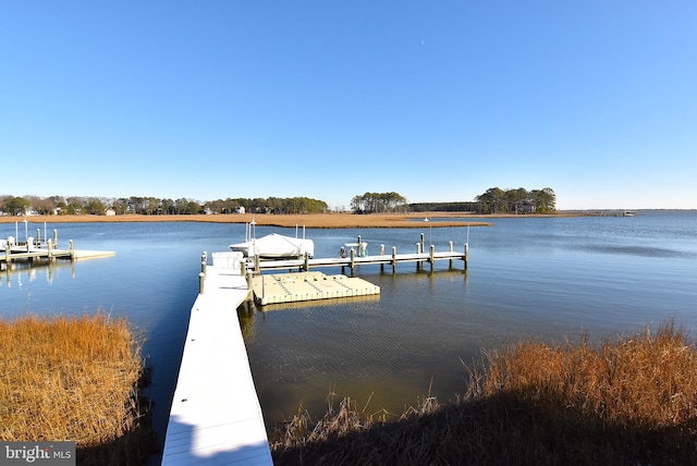 dock area featuring a water view